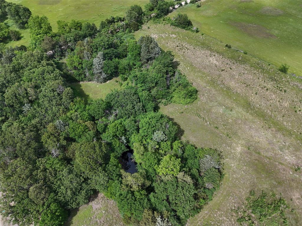 9774 N State Highway 78 Property Photo 4