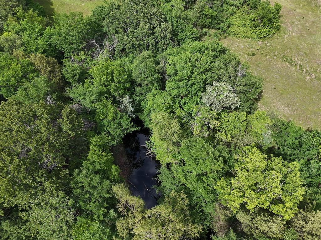 9774 N State Highway 78 Property Photo 6
