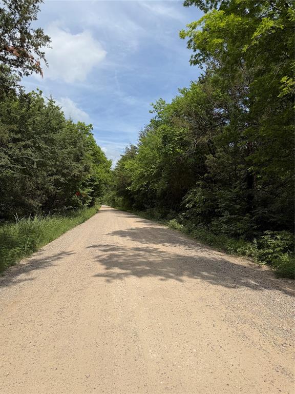 9774 N State Highway 78 Property Photo 8