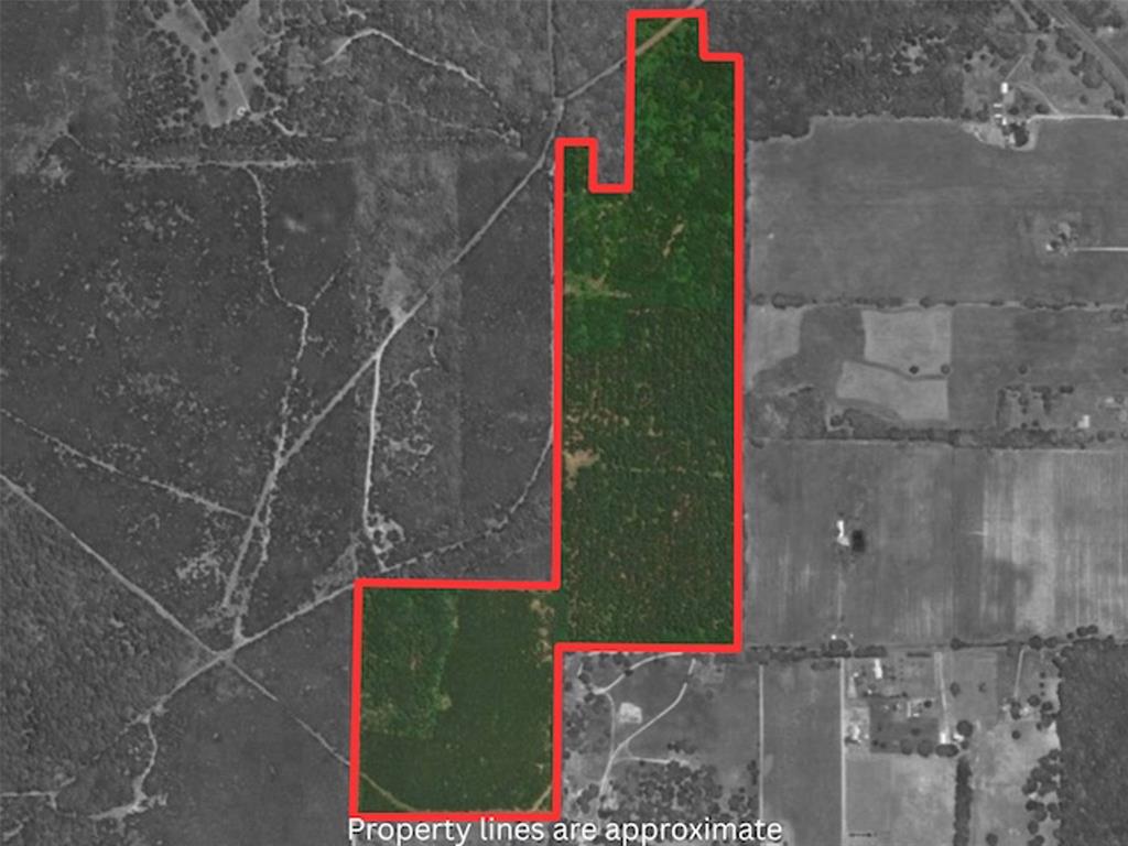 Tba County Road 3824 Property Photo 1