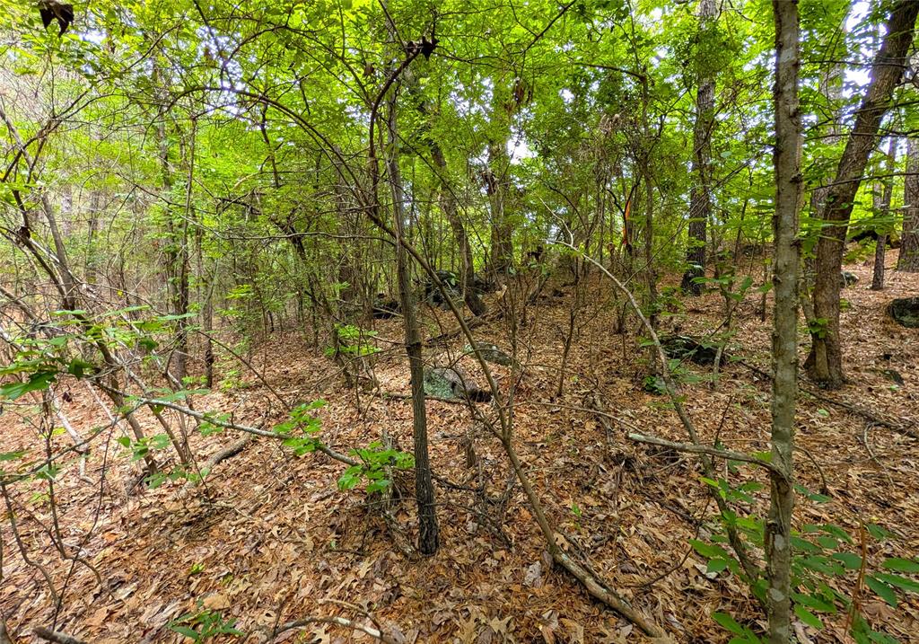 1931 County Road 4101 Property Photo 11
