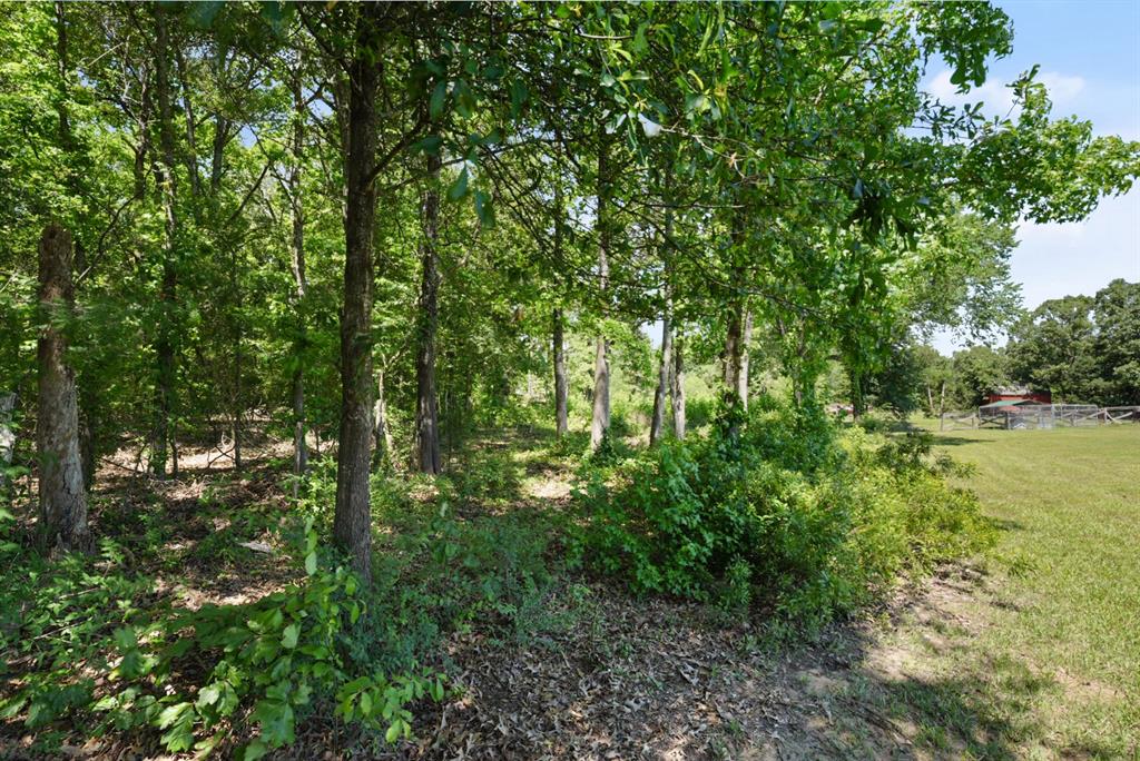 155 Rs County Road 4261 Property Photo 28