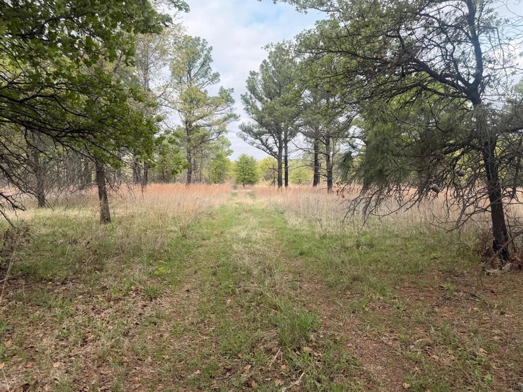 2548 County Road 2690 Property Photo 37