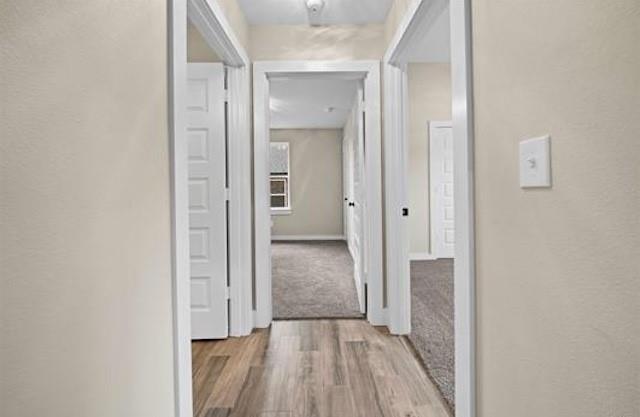 16221 Crossing Circle Property Photo 26