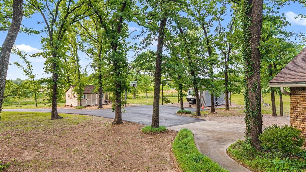 380 County Road 123 Property Photo 30
