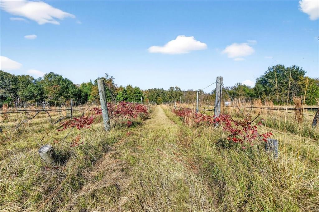 1603 Vz Cr 2908 Property Photo 20