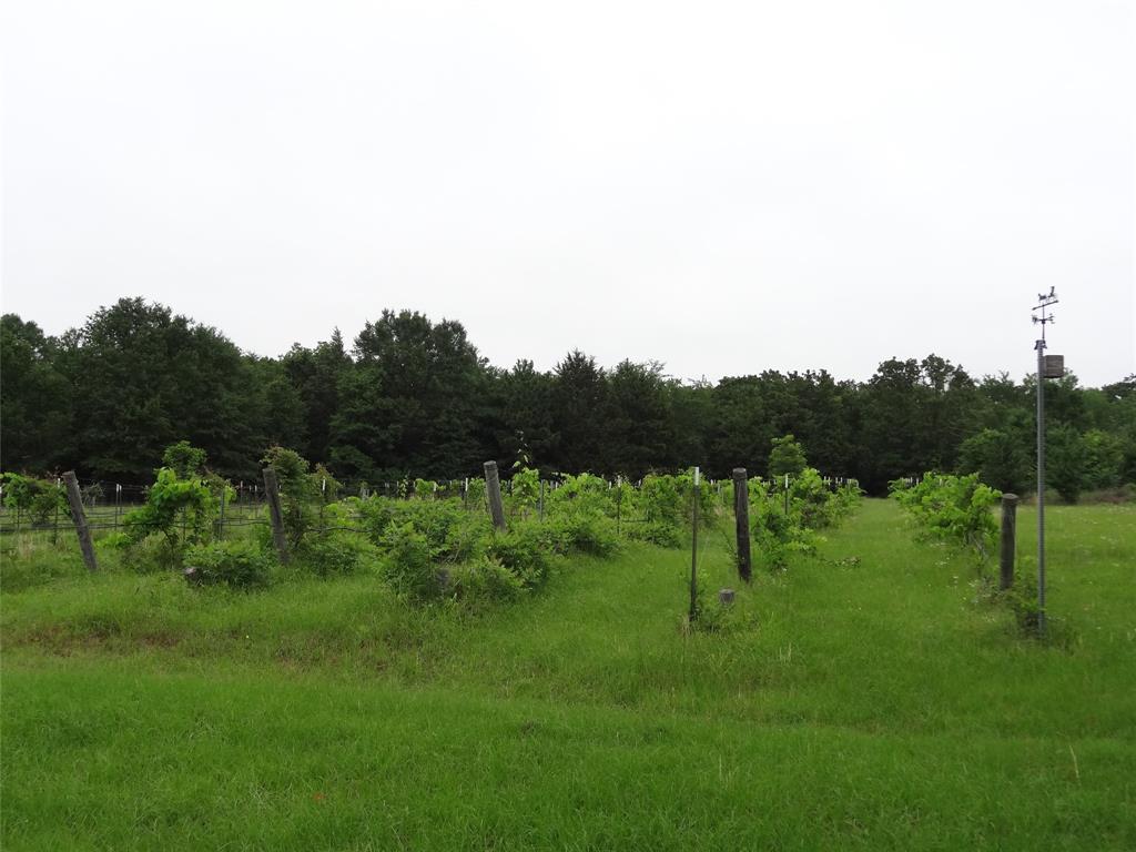 1603 Vz Cr 2908 Property Photo 21
