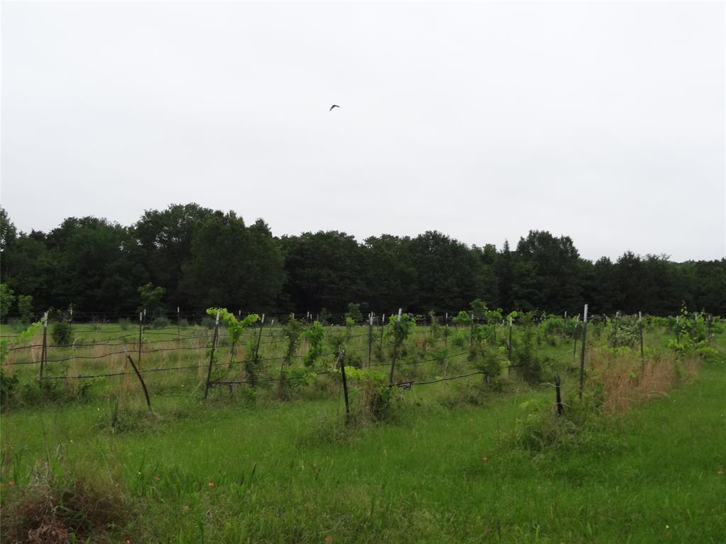 1603 Vz Cr 2908 Property Photo 22