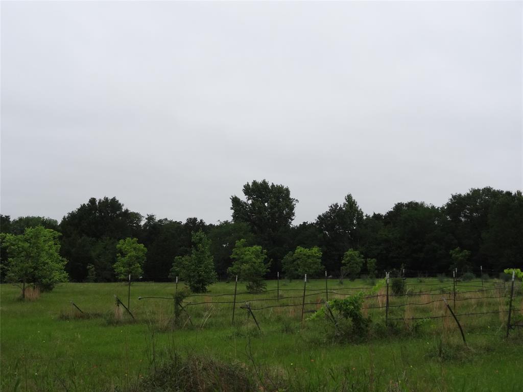 1603 Vz Cr 2908 Property Photo 23
