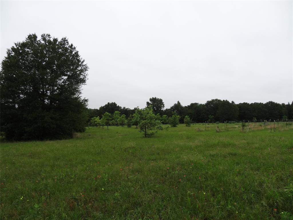 1603 Vz Cr 2908 Property Photo 27