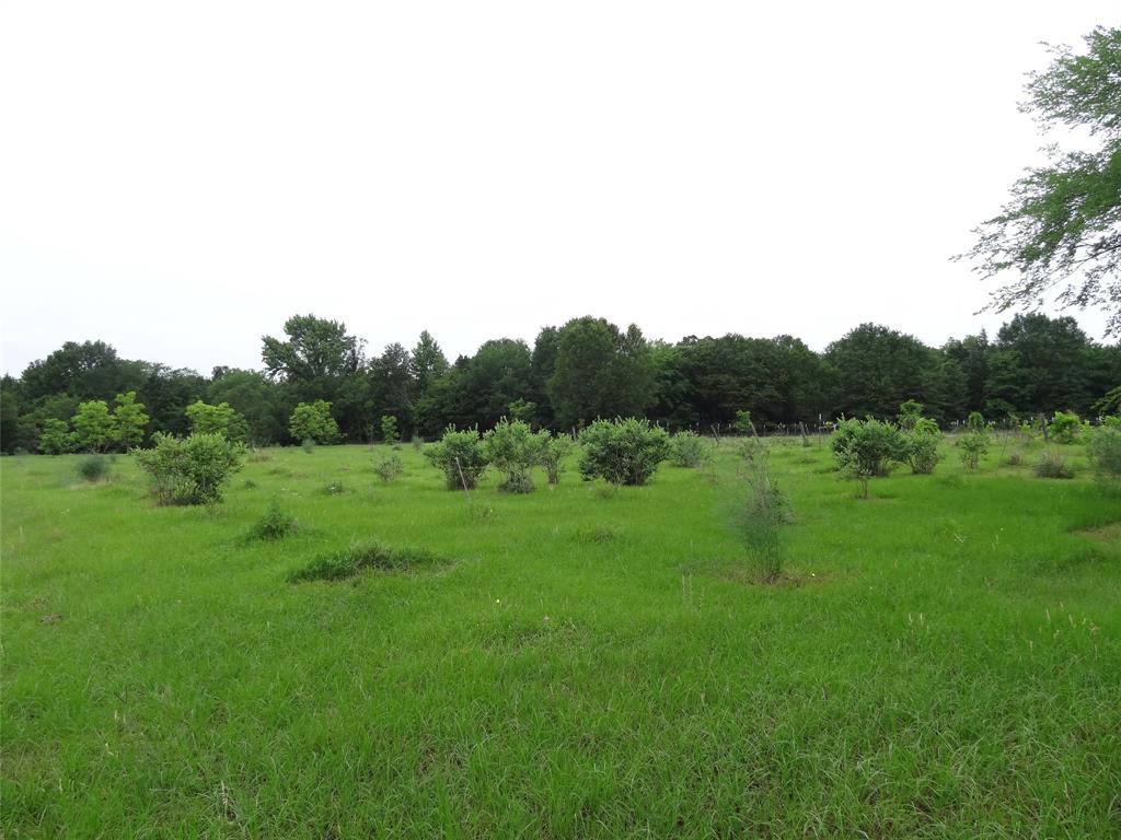 1603 Vz Cr 2908 Property Photo 38