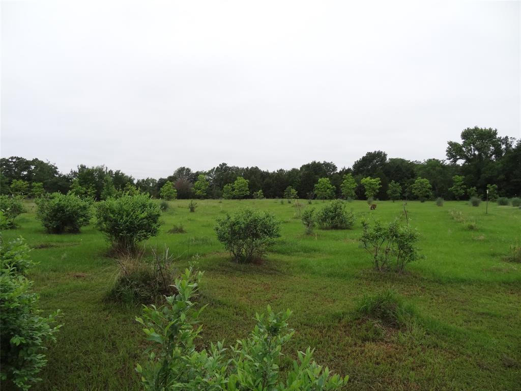 1603 Vz Cr 2908 Property Photo 39