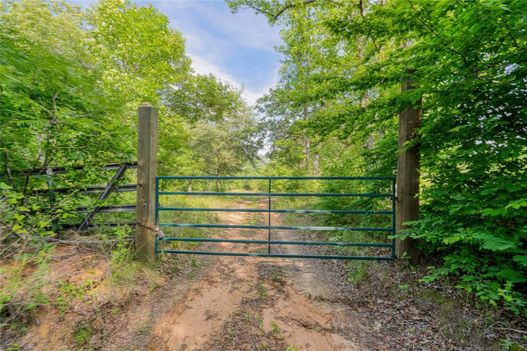 1655 County Road 1627 Property Photo 1