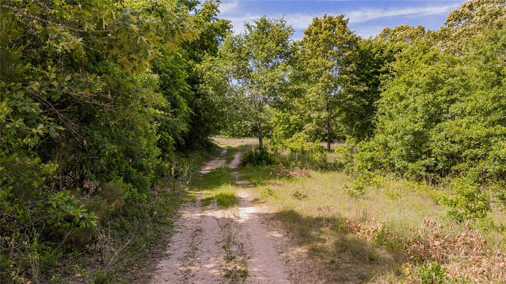 1655 County Road 1627 Property Photo 3
