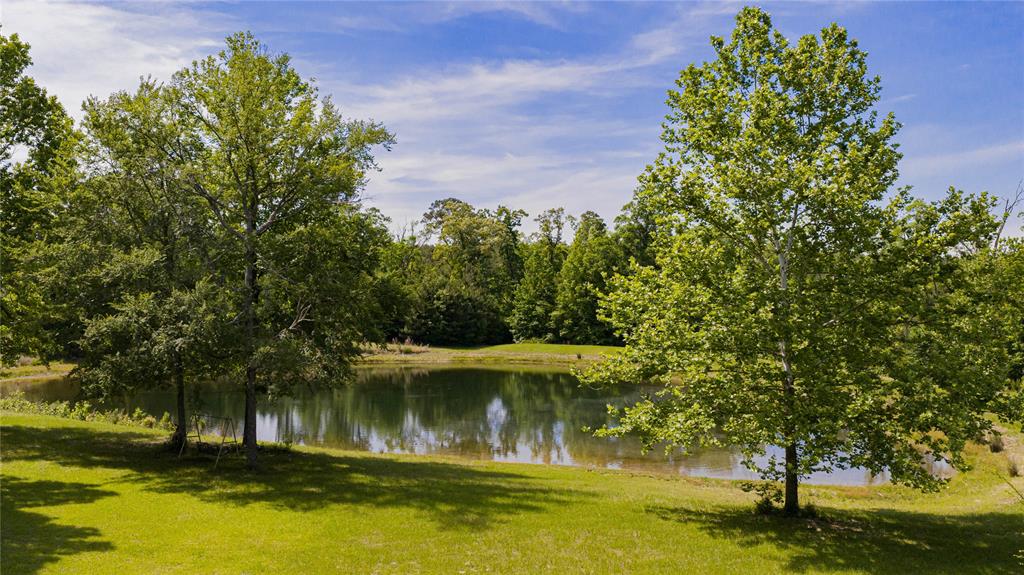 1655 County Road 1627 Property Photo 7