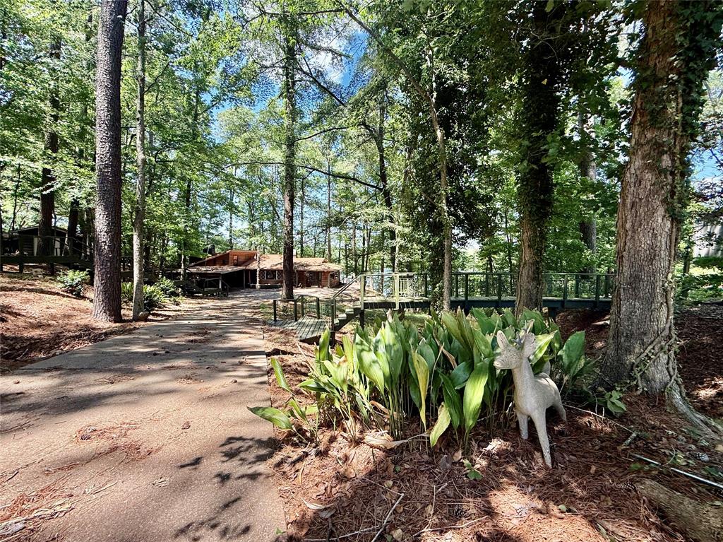 781 Scotts Hideaway Rd Property Photo 5