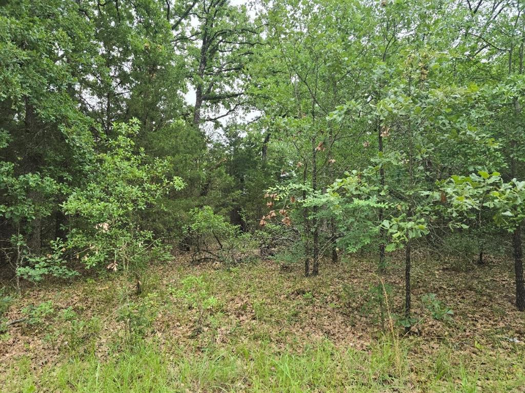 Lot 1007 Kickapoo Trail Property Photo 1