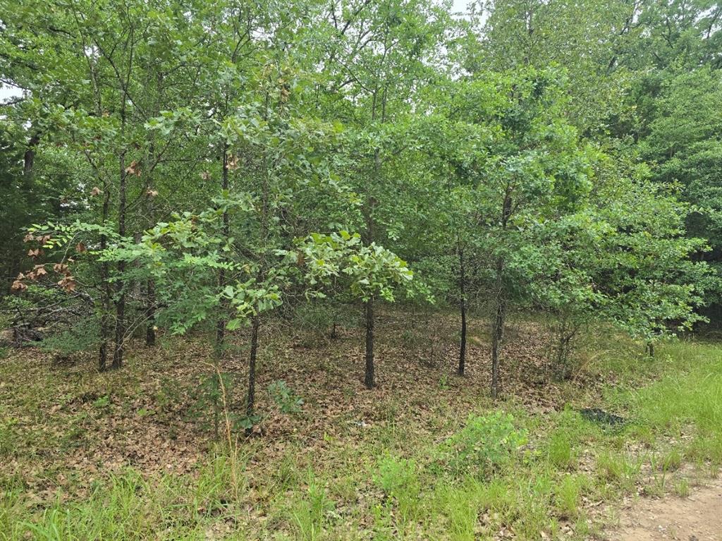 Lot 1007 Kickapoo Trail Property Photo 2