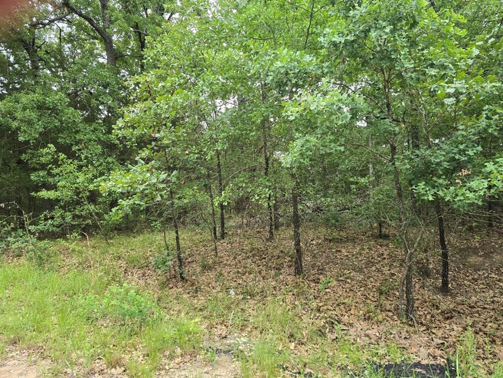 Lot 1007 Kickapoo Trail Property Photo 6