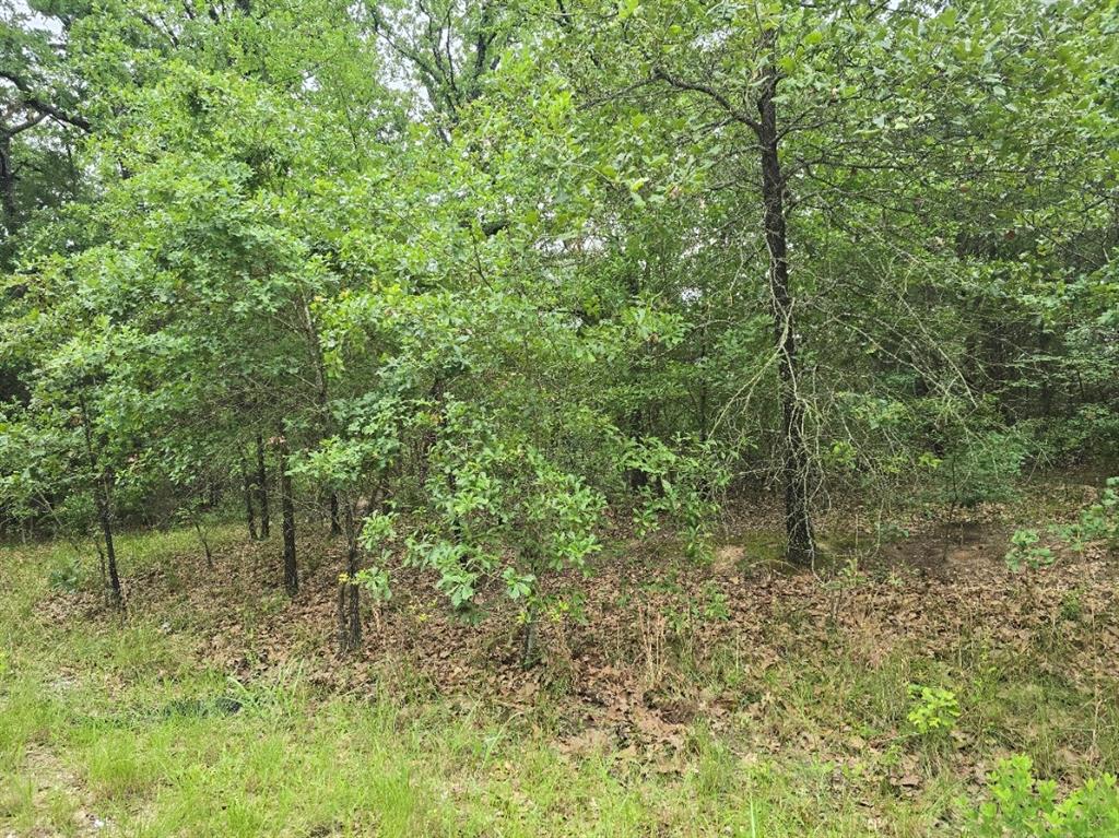 Lot 1007 Kickapoo Trail Property Photo 7