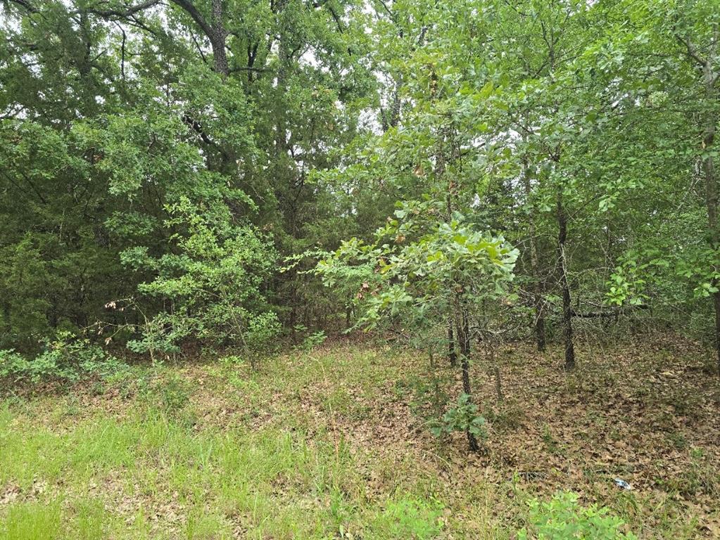 Lot 1007 Kickapoo Trail Property Photo 10