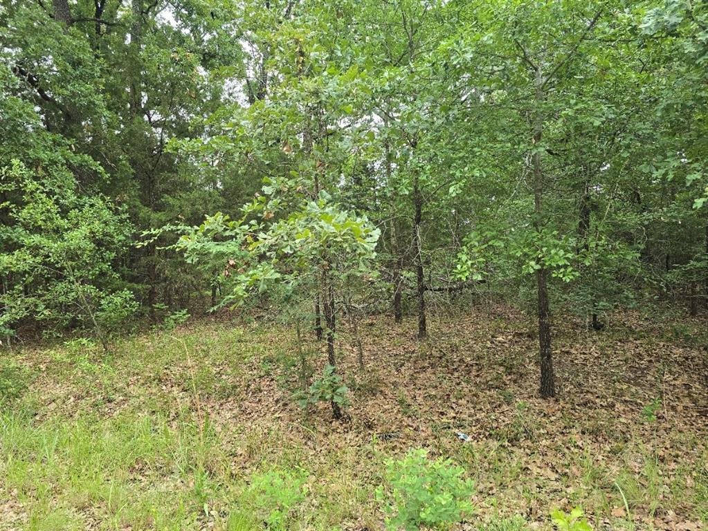 Lot 1007 Kickapoo Trail Property Photo 11