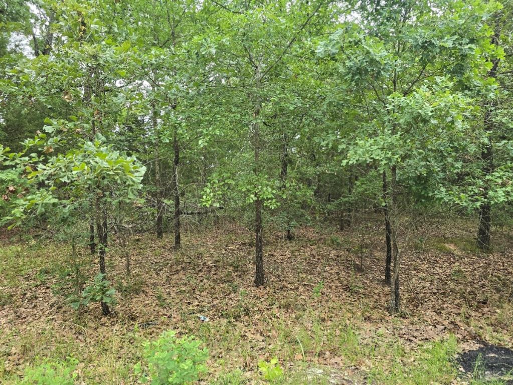 Lot 1007 Kickapoo Trail Property Photo 12
