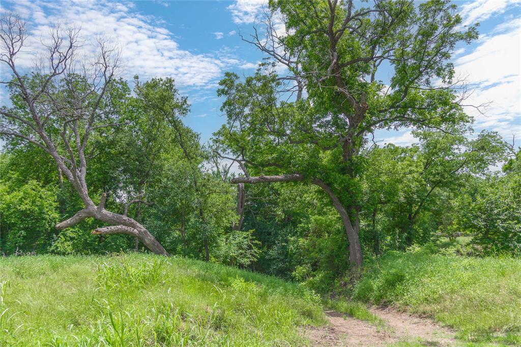 4960 Fm 1480 Property Photo 20