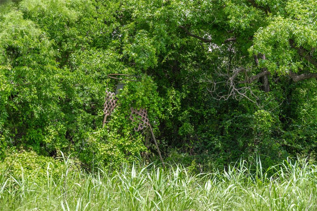 4960 Fm 1480 Property Photo 23