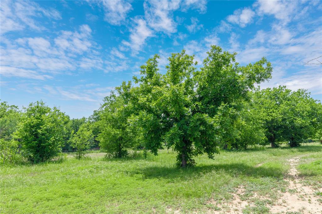 4960 Fm 1480 Property Photo 25