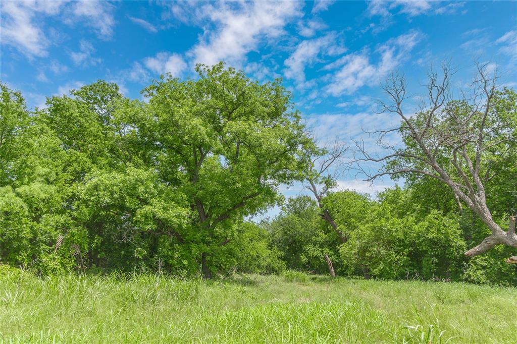 4960 Fm 1480 Property Photo 39
