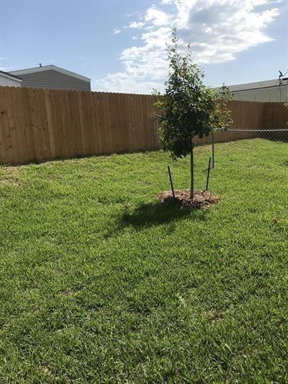6011 Amelia Earhart Boulevard B Property Photo 15