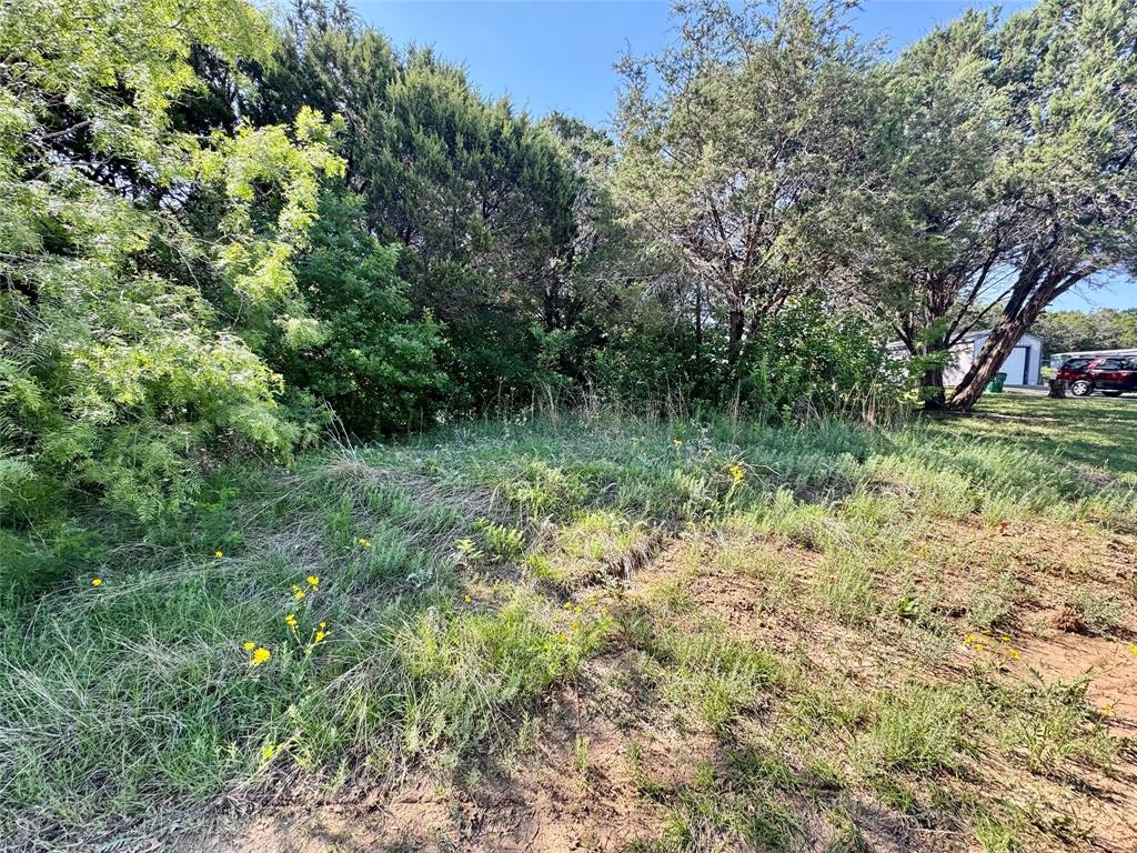 1033 Indian Drive Property Photo 2