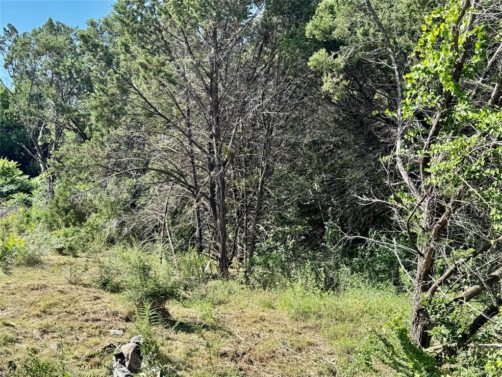 1033 Indian Drive Property Photo 5