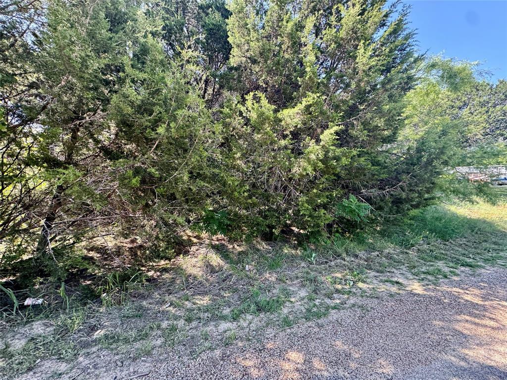 1033 Indian Drive Property Photo 6
