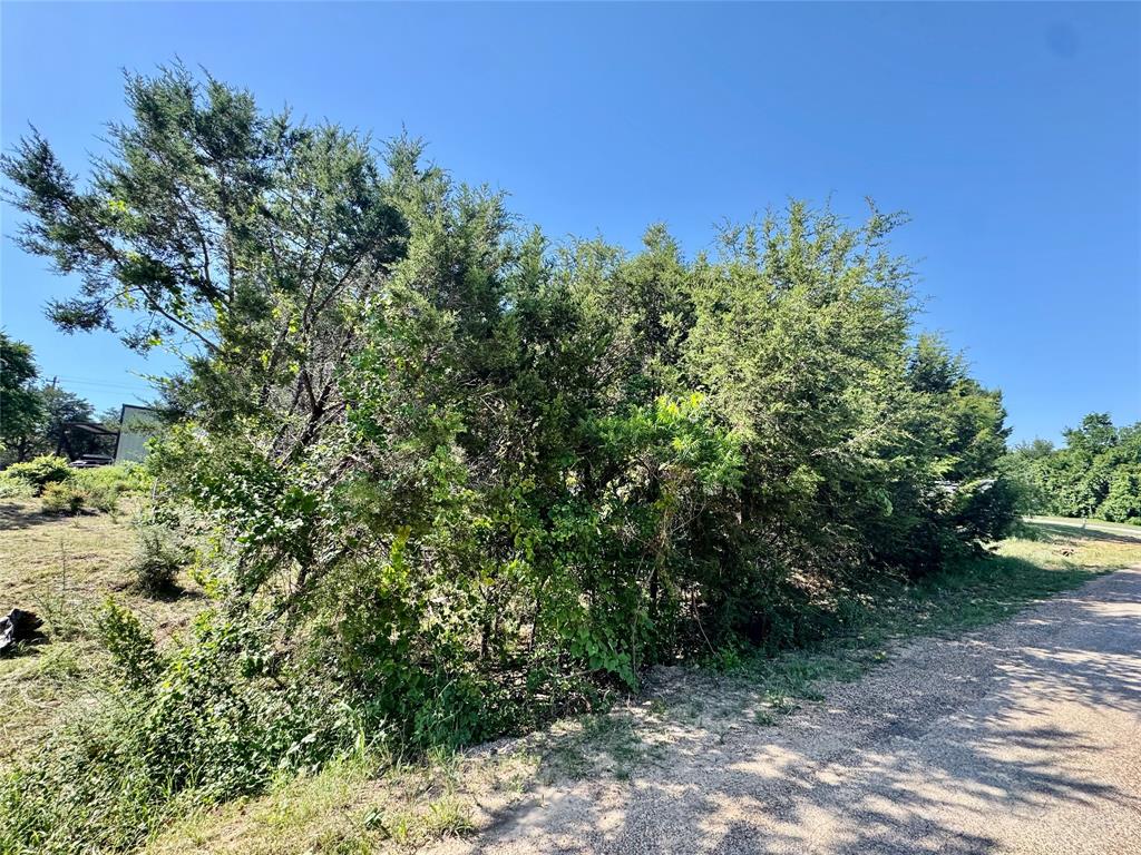 1033 Indian Drive Property Photo 8