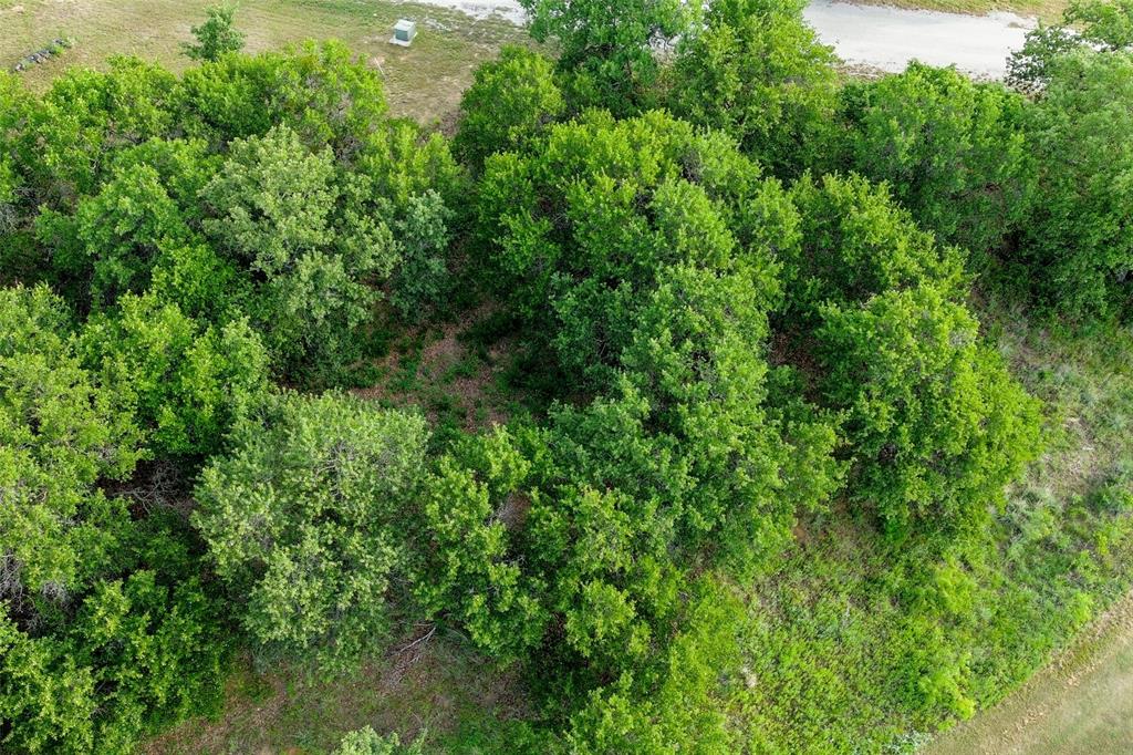 Tbd Oakwood Trail Property Photo 2
