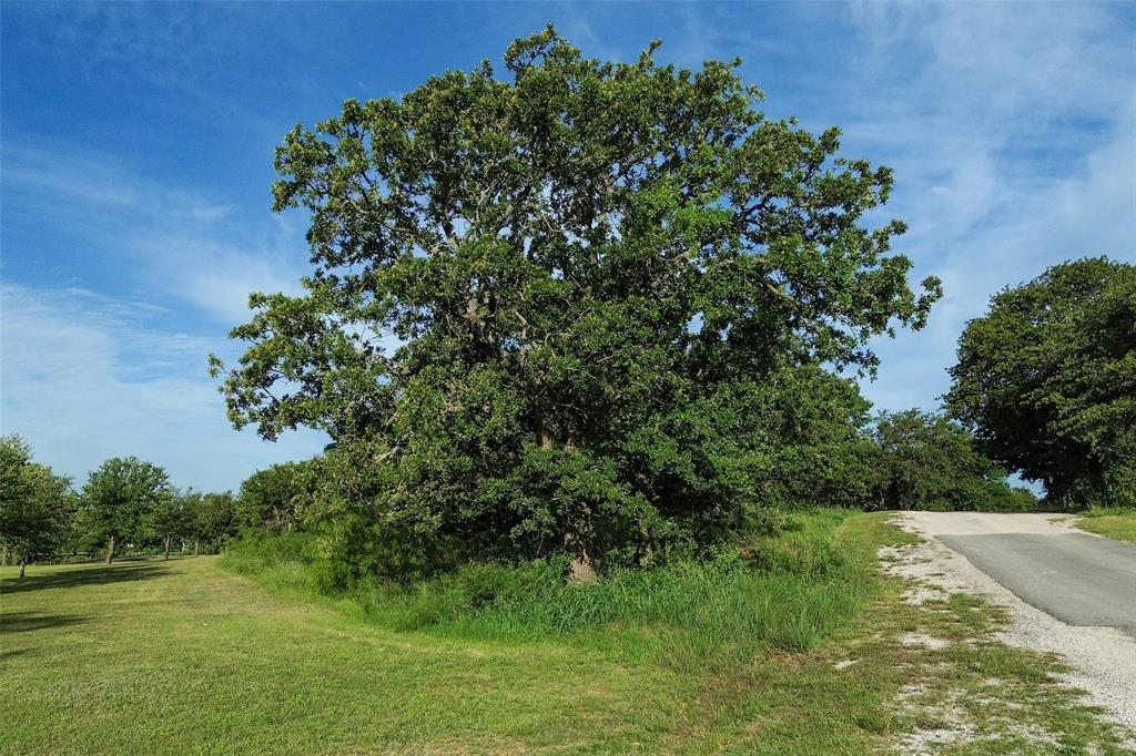 Tbd Oakwood Trail Property Photo 9