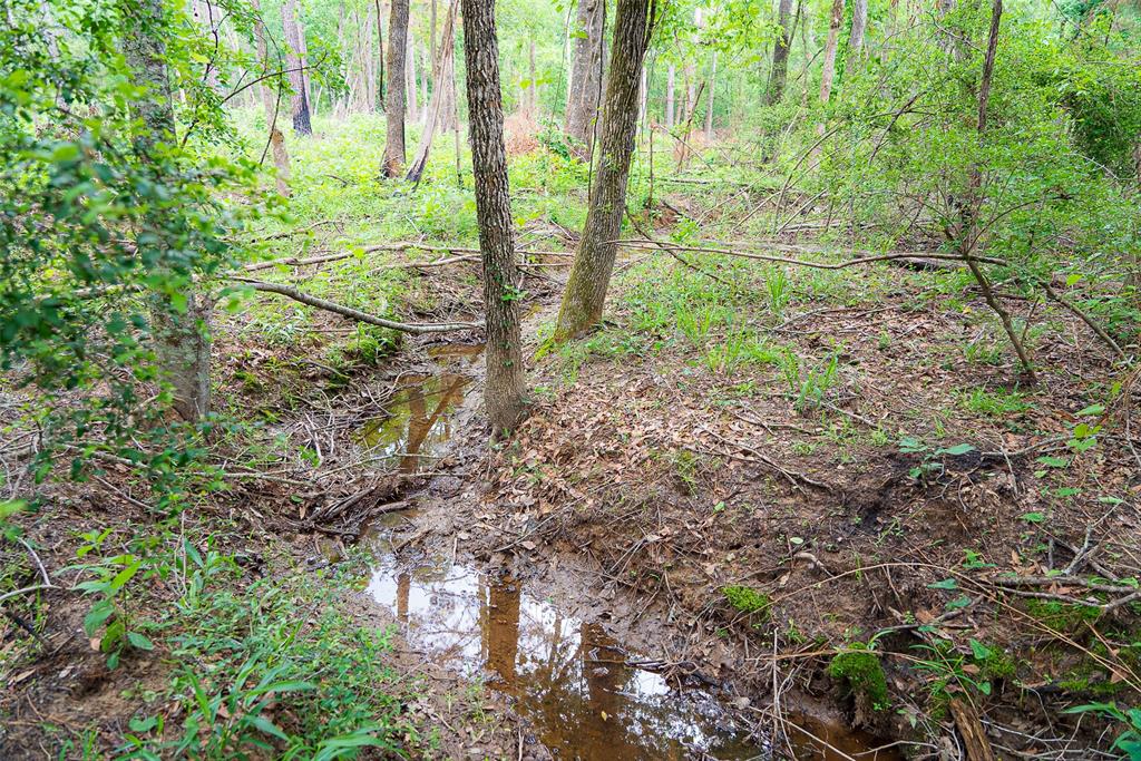 2365 Cr 152 Property Photo 30