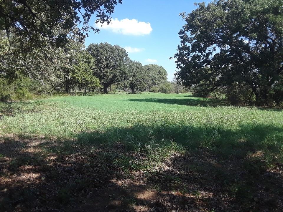 Pr 114 Pr 114 Property Photo 1