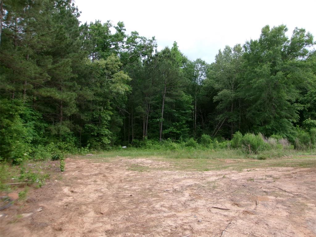 810 Williams Road Property Photo 14
