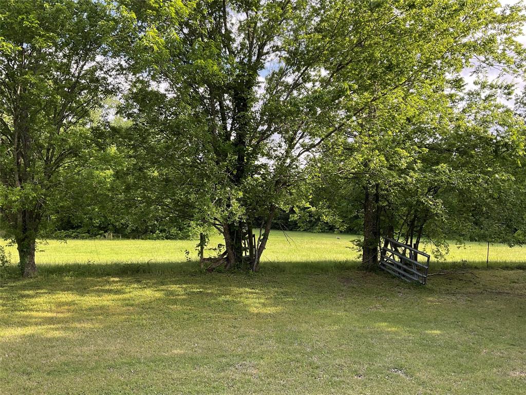 9994 Twin Creeks Circle Property Photo 2