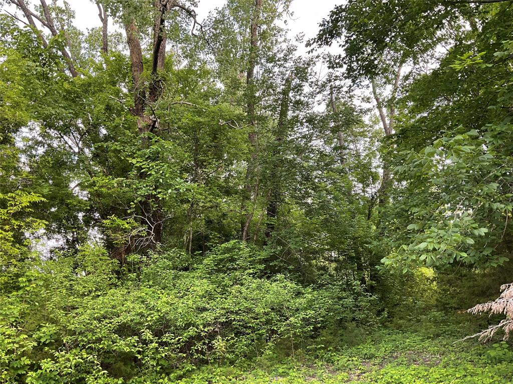 9994 Twin Creeks Circle Property Photo 11