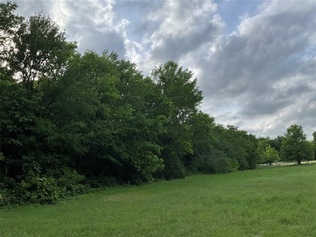 9994 Twin Creeks Circle Property Photo 13