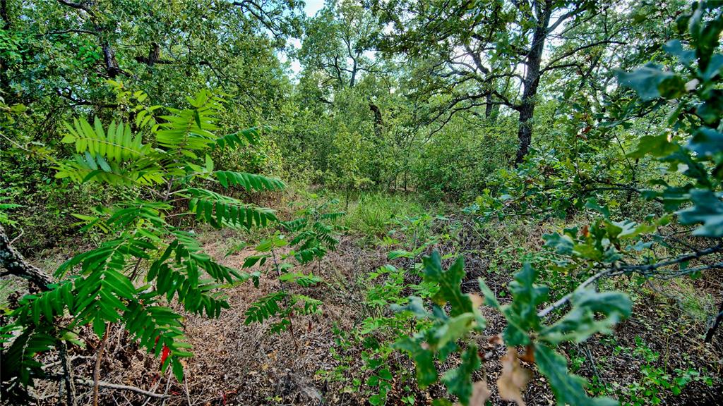 Tbd Haigood Property Photo 8