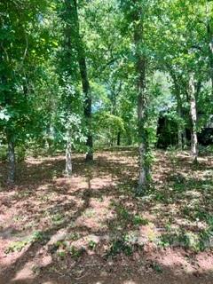 517 Private Road 7908 Property Photo 15