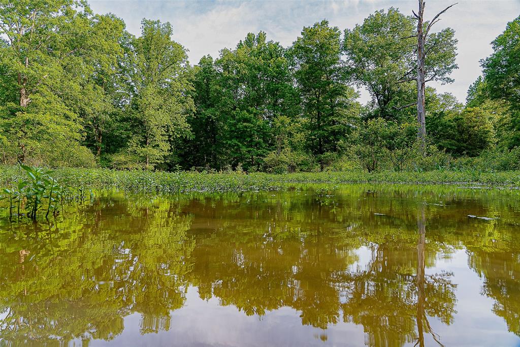 00 Off Of Farm To Market Road 2064 Property Photo 15