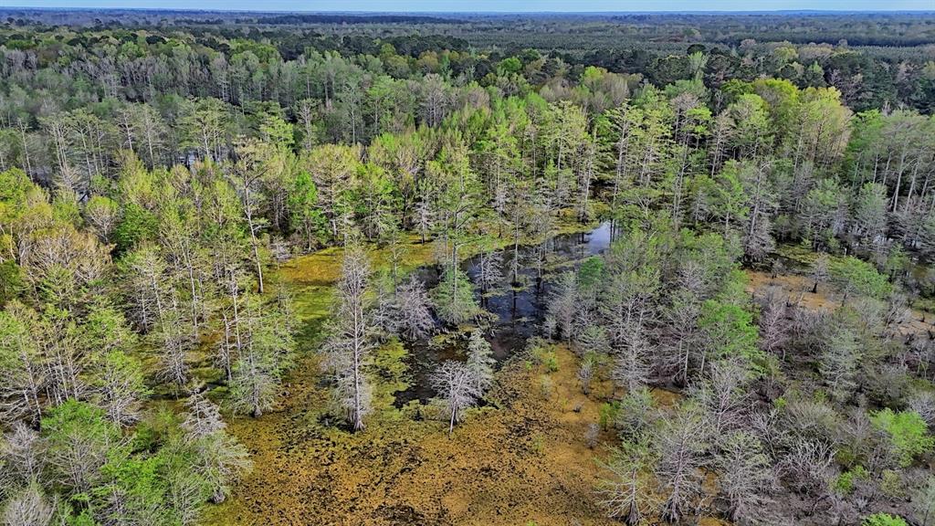 Tbd County Rd 401 Property Photo 21