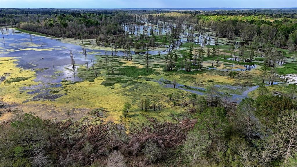 Tbd County Rd 401 Property Photo 23