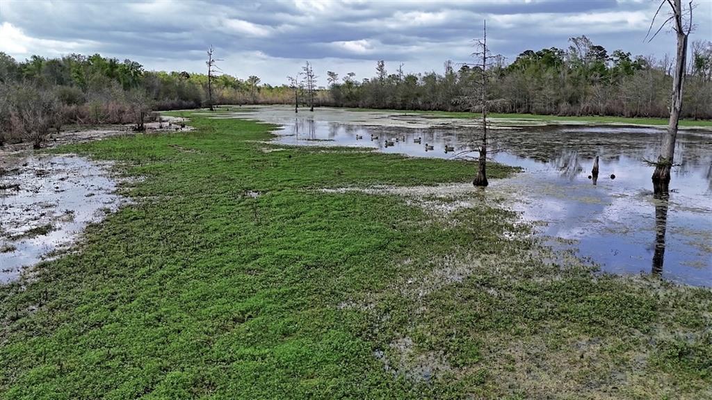 Tbd County Rd 401 Property Photo 28